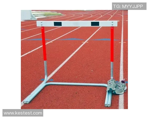 奥运会跨栏选手栏间步伐数与成绩波动之间的关系研究 奥运会跨栏选手栏间步伐数与成绩波动之间的关系研究